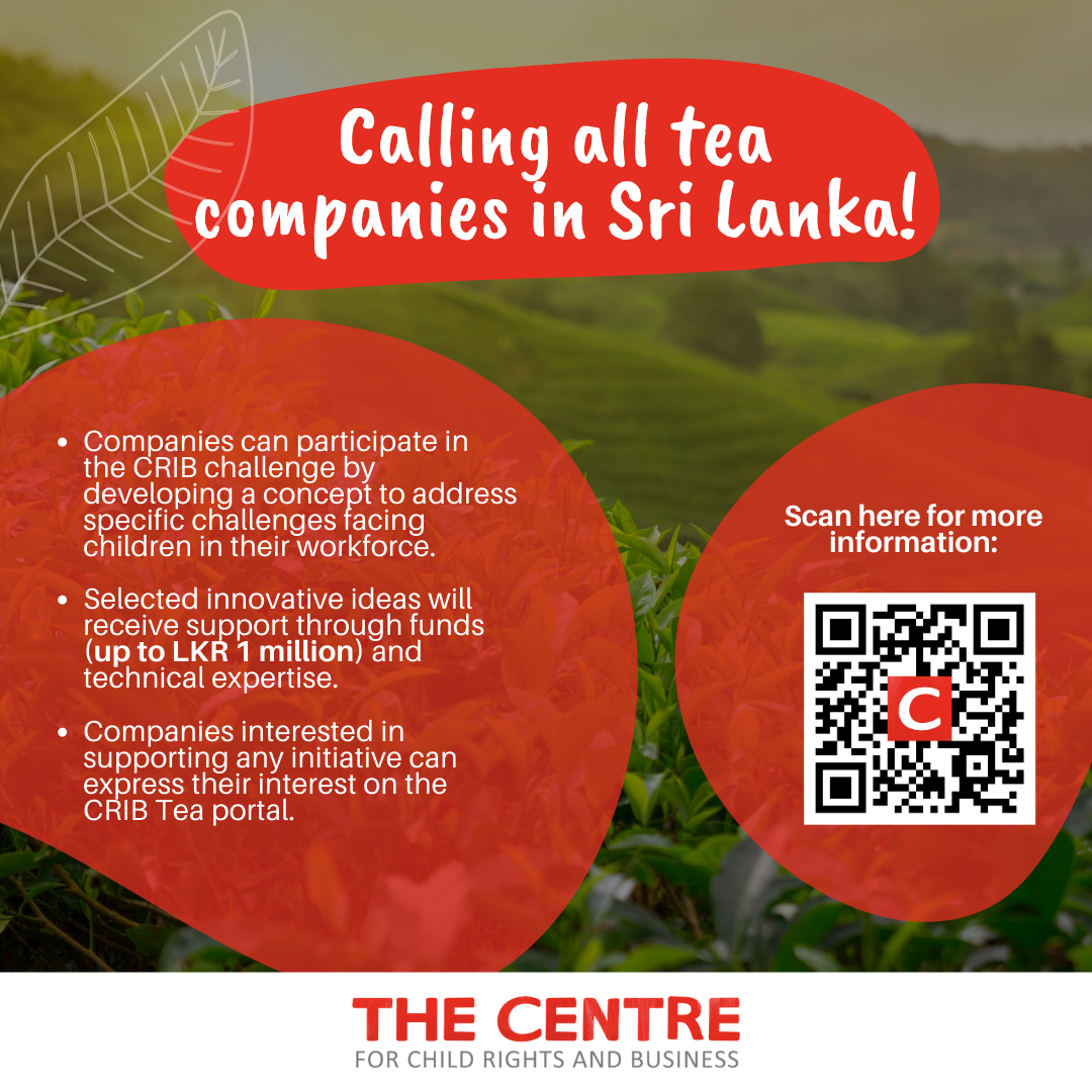 The Centre for Child Rights and Business announces the launch of the Child Rights in Business (CRIB) challenge for tea companies based in Sri Lanka